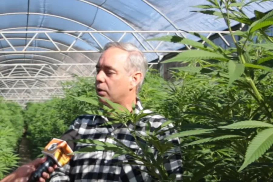  Se registró un exponencial incremento de la industria cannábica en La Rioja