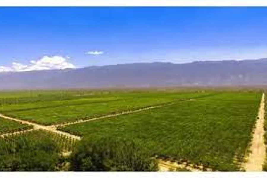  Energía: productores de Chilecito piden tarifa diferenciada