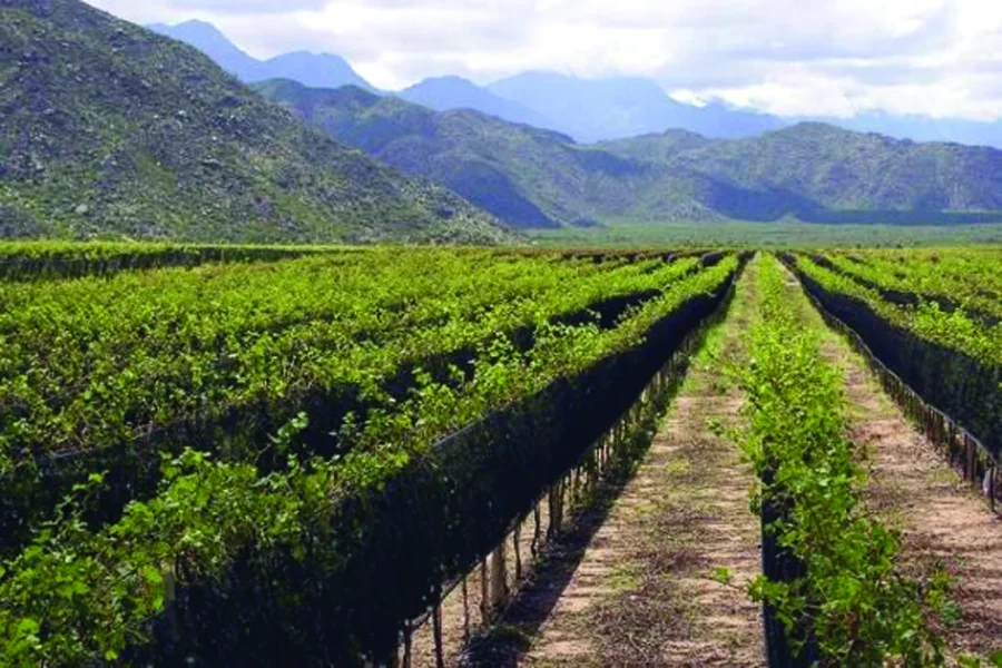  Productores en alerta por los altos costos de energía eléctrica