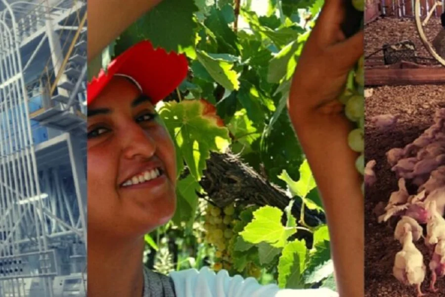  Líderes de 59 cooperativas agrícolas debaten en Chilecito