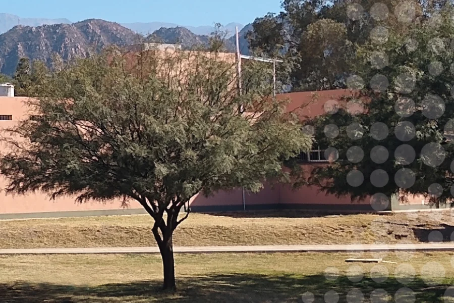   UNDeC fortalece trabajo sobre cuidado de árboles