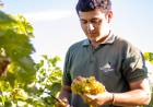 La UNdeC fortalece vínculos con el sector productivo para potenciar la formación de sus estudiantes