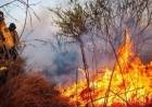 Incendio en la Sierra de Guanchín: el fuego continúa activo y refuerzan el operativo para este miércoles