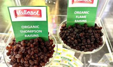  Vallesol presente en Alemania: Destacada participación de la empresa riojana en BIOFACH 2024