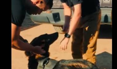 Nuevos “guardianes” en Chilecito: se suman canes especializados para reforzar la seguridad