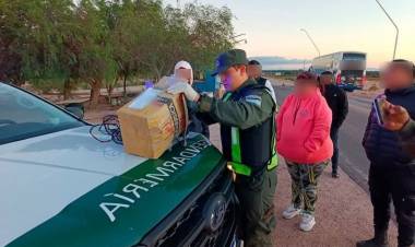 Detectan sustancia ilegal oculta en una encomienda durante control en Arauco