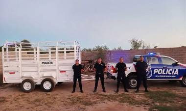 Inauguran Unidad de Captura de Animales Sueltos en Malligasta