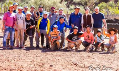 Plan Sanitario en Miranda y Cachiyuyal: fortalecimiento de la producción ganadera local