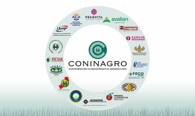 Coninagro advirtió que la mitad de las economías regionales continúa en crisis