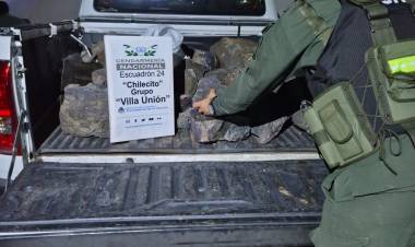Secuestran más de 130 piedras minerales y un arma de fuego en operativos de Gendarmería