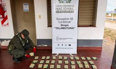 Gendarmería decomisó mercadería de contrabando, hojas de coca y armas de fuego en distintos operativos en La Rioja