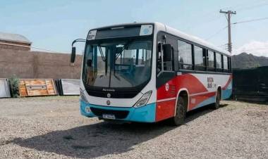Reprograman los servicios de transporte por el partido de Argentina en el Mundial