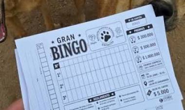 La Asociación Protectora de Animales San Roque organiza un Gran Bingo Solidario para recaudar fondos