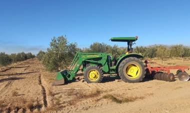 Realizan tareas de desmalezado y limpieza en el monte frutal de la EEA Chilecito
