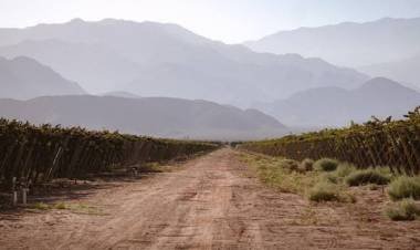 Proponen declarar la emergencia productiva, energética y laboral del sector vitivinícola del Valle Antinaco-Los Colorados