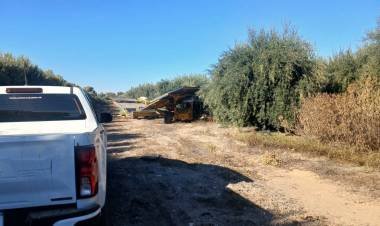 Anguinán: UATRE realizó una inspección en un establecimiento olivícola tras un reclamo anónimo