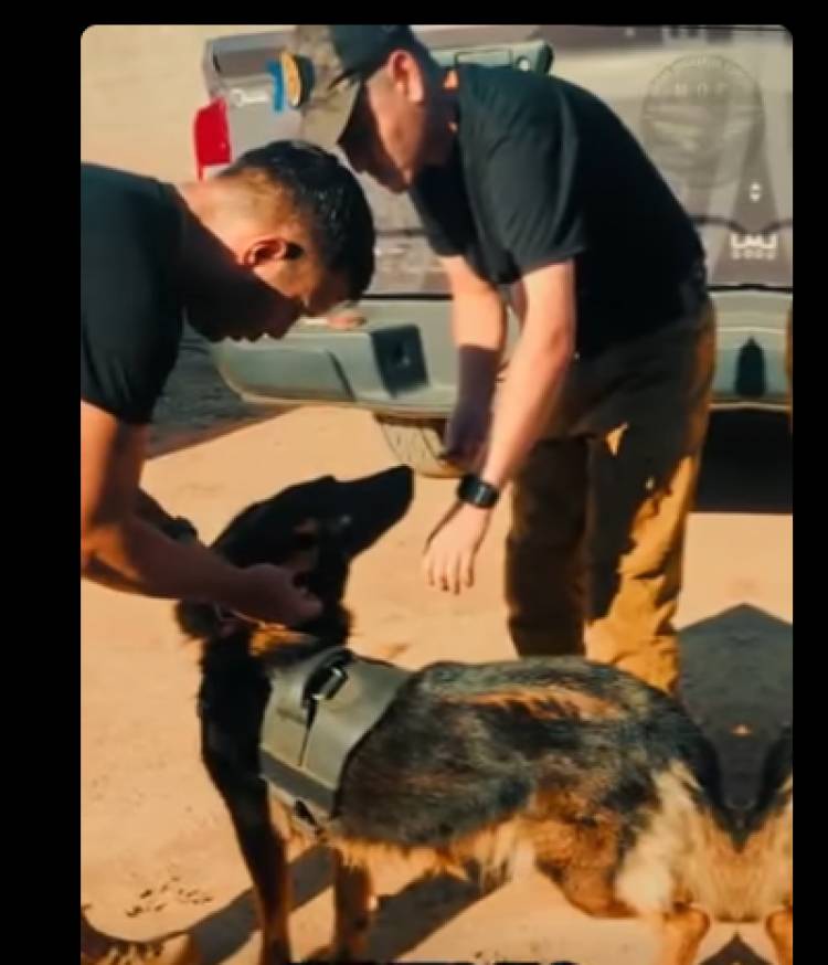 Nuevos “guardianes” en Chilecito: se suman canes especializados para reforzar la seguridad