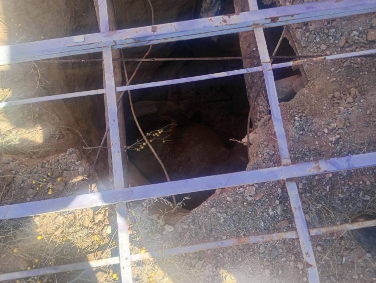 Rescatan a un caballo que cayó en un pozo en el Parque Industrial de Chilecito