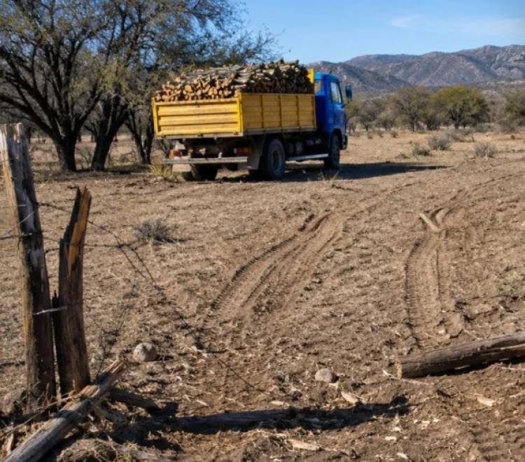 Detuvieron a un hombre de 73 años en una investigación por el presunto robo de leña
