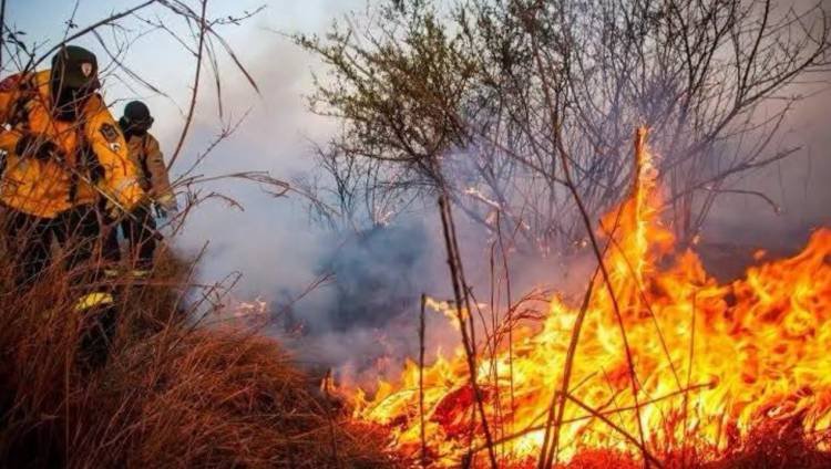 Incendio en la Sierra de Guanchín: el fuego continúa activo y refuerzan el operativo para este miércoles