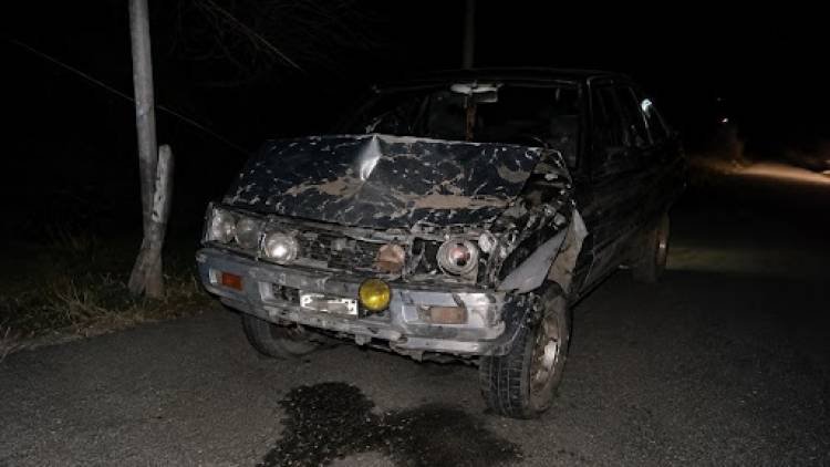 Famatina: una camioneta chocó con un caballo en la Ruta 78