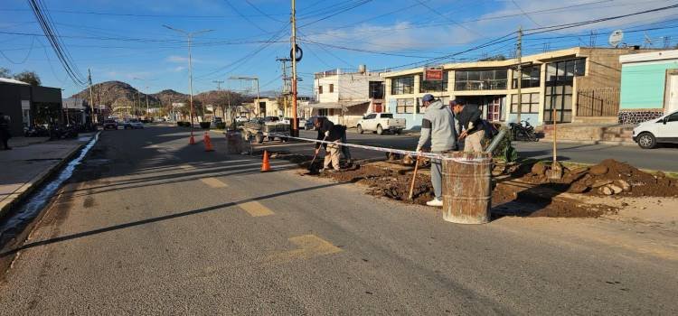 Realizan trabajos de reparación en Avenida Presidente Perón frente a la Terminal de Ómnibus