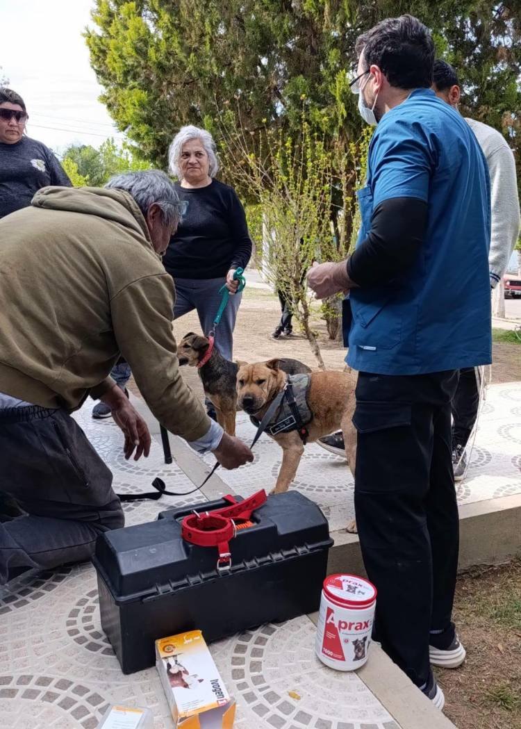Realizan una nueva campaña de vacunación antirrábica en Los Sarmientos y barrio Mirador del Velasco